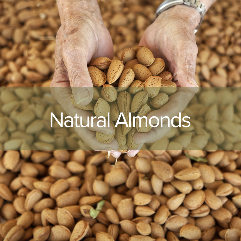 natural-almonds3