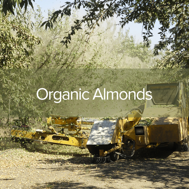 organic-almonds1